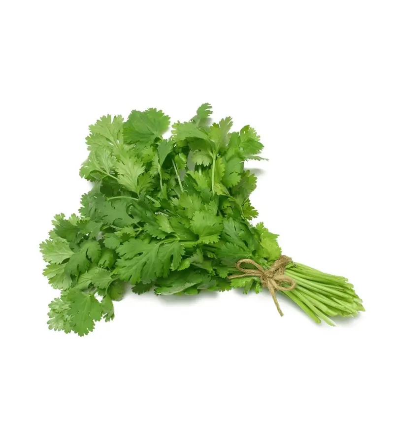 Coriander Coriander (Dhaniya) - Image 1
